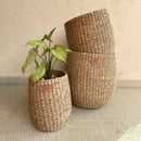 Sea Grass Plant Basket | Brown