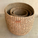 Sea Grass Plant Basket | Brown