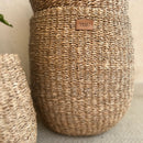 Sea Grass Plant Basket | Brown