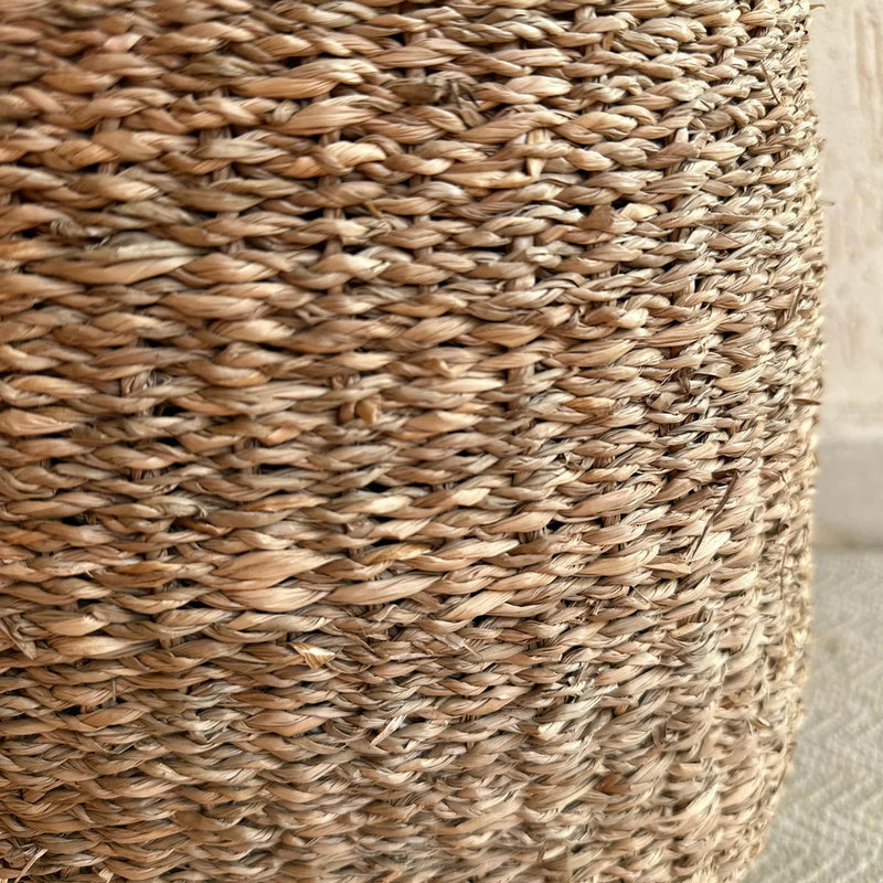 Sea Grass Plant Basket | Brown