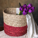 Natural Grass Planter | Storage Basket | Beige & Red | 23 cm