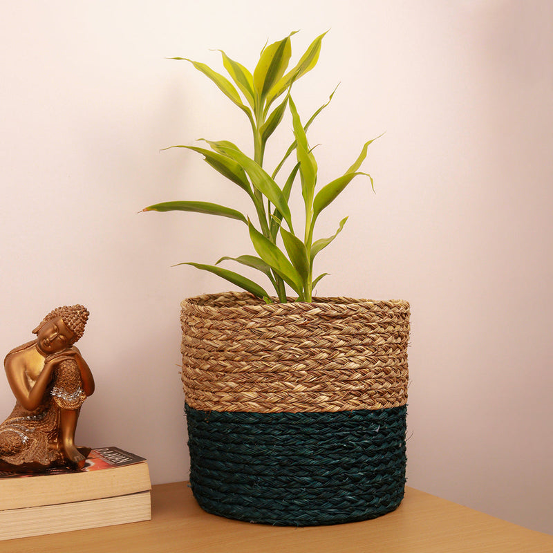 Sabai Grass Planter | Blue & Natural | 23 inches