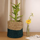 Sabai Grass Planter | Blue & Natural | 23 inches