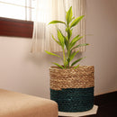 Sabai Grass Planter | Blue & Natural | 23 inches