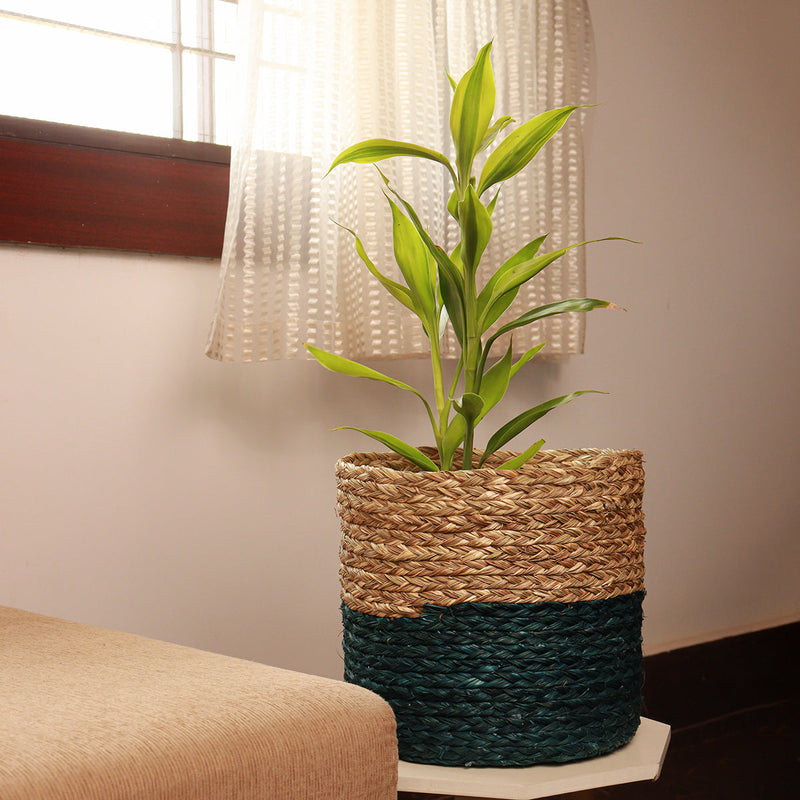 Sabai Grass Planter | Blue & Natural | 23 inches