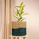 Sabai Grass Planter | Blue & Natural | 23 inches