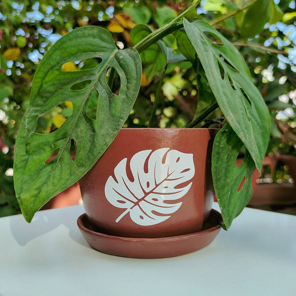 Ceramic Planters | Brown | 8 cm