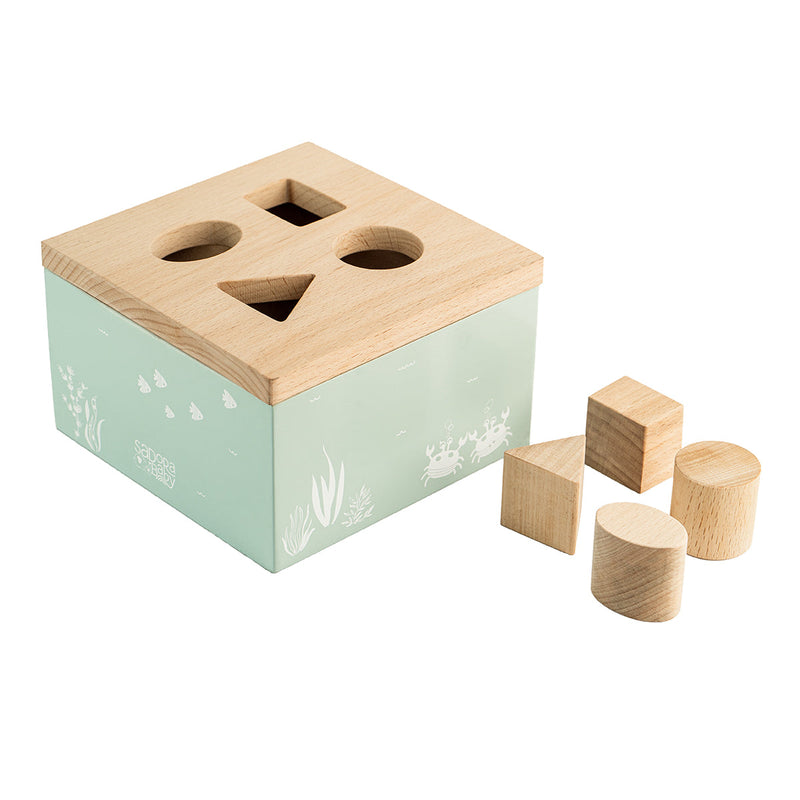 Wooden Toys for Baby | Box Shape Sorter Toy | Multicolour