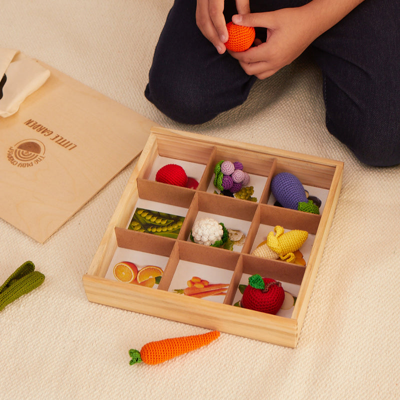 Wooden Toy Set for Kids | Match & Sort Garden Toy | Multicolour