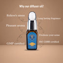 Ocean Aqua Essential Oil | Perfect for Aromatherapy | 10 ml