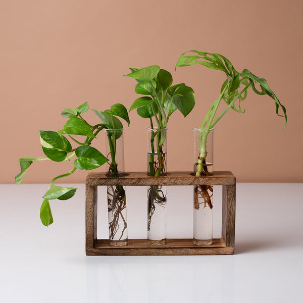 Wooden Test Tube Planter | Brown | 19 cm