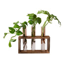 Wooden Test Tube Planter | Brown | 19 cm