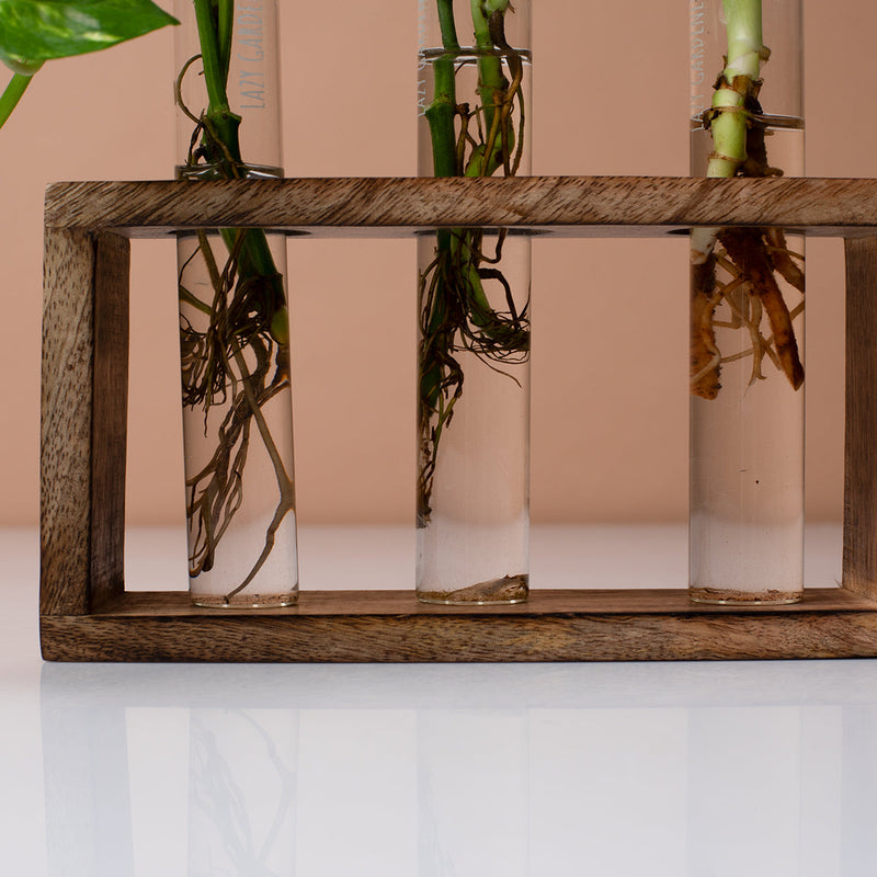 Wooden Test Tube Planter | Brown | 19 cm