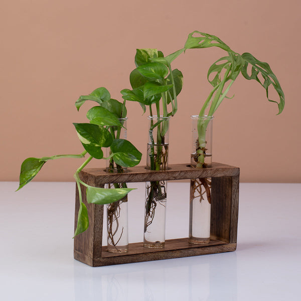 Wooden Test Tube Planter | Brown | 19 cm