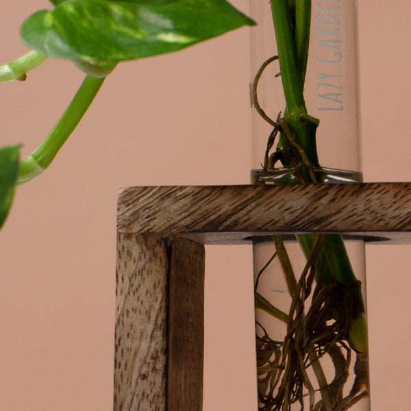 Wooden Test Tube Planter | Brown | 19 cm