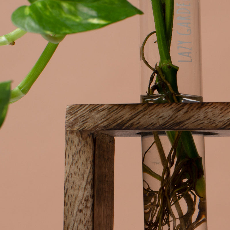 Wooden Test Tube Planter | Brown | 19 cm