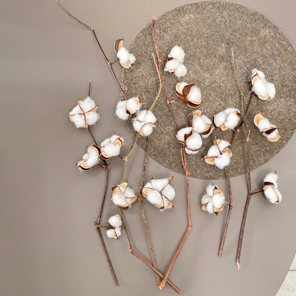 Dried Cotton Flowers | 6 Sticks