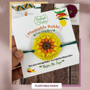 Plantable Seeds Rakhi Kit | Yellow Blossom & Zig Zag