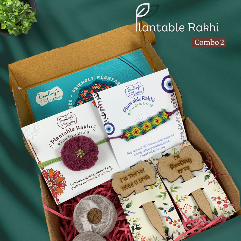 Plantable Seeds Rakhi Kit | Blooming Flower & Evil Eye