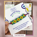 Plantable Seeds Rakhi Kit | Blooming Flower & Evil Eye