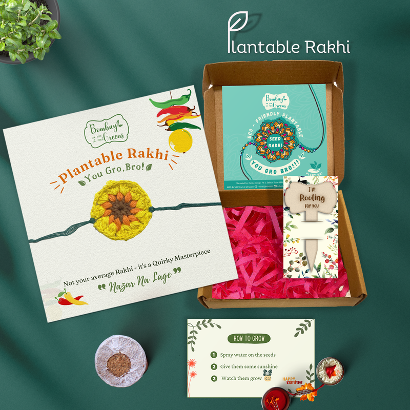 Plantable Seeds Rakhi Set for Brother | Sunflower | Yellow