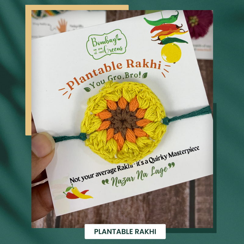 Plantable Seeds Rakhi Set for Brother | Sunflower | Yellow