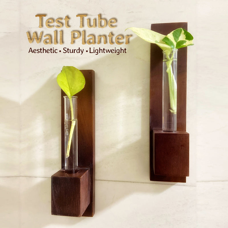 Pinewood Test Tube Planter | Brown | Set of 3