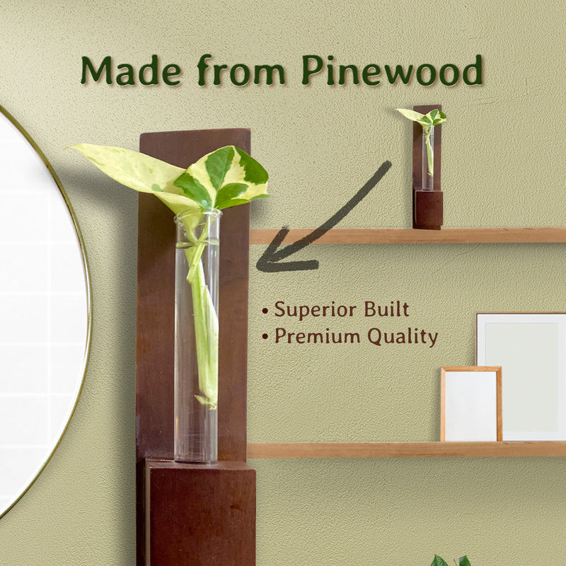 Pinewood Test Tube Planter | Brown | Set of 3