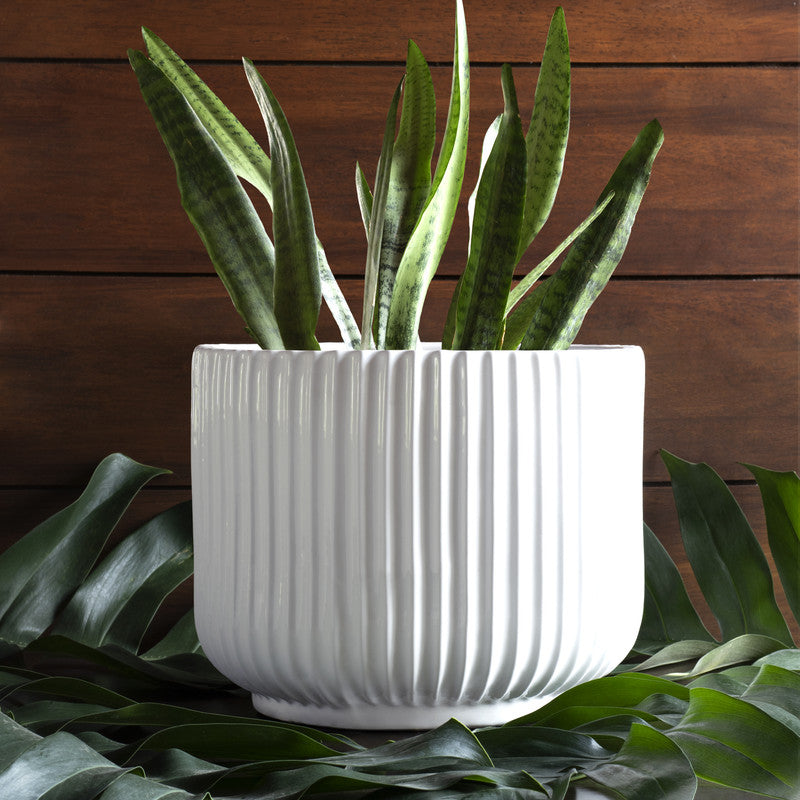 Ceramic Planter | Indoor Planters | White | Dia - 12.5 inches & Height - 10 inches