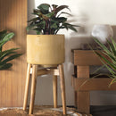 Ceramic Pots | Medium Planter with Wooden Stand | Sandal