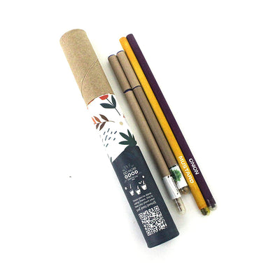 Plantable Stationery Combo | 2 Seed Pen | Seed Pencil, 1 Notepad