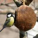 Bird Feeder | Coconut Shell Bird House With Hanging Rope | Bird Nest.