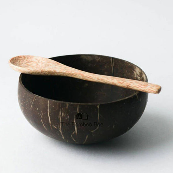 Coconut Bowl | Naturally Polished Bowl