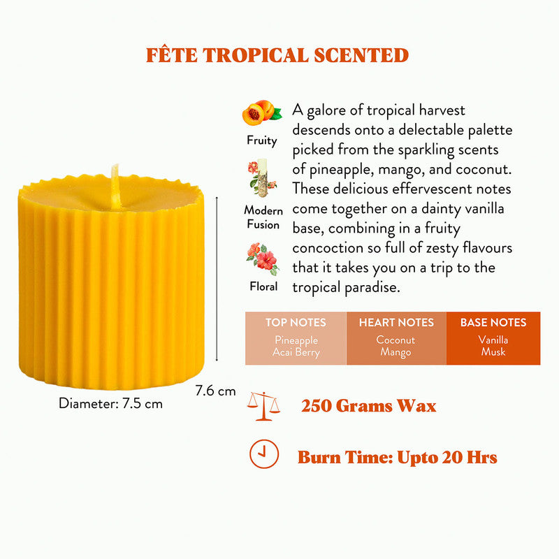 Pillar Candles | Scented Soy Wax | Tropical