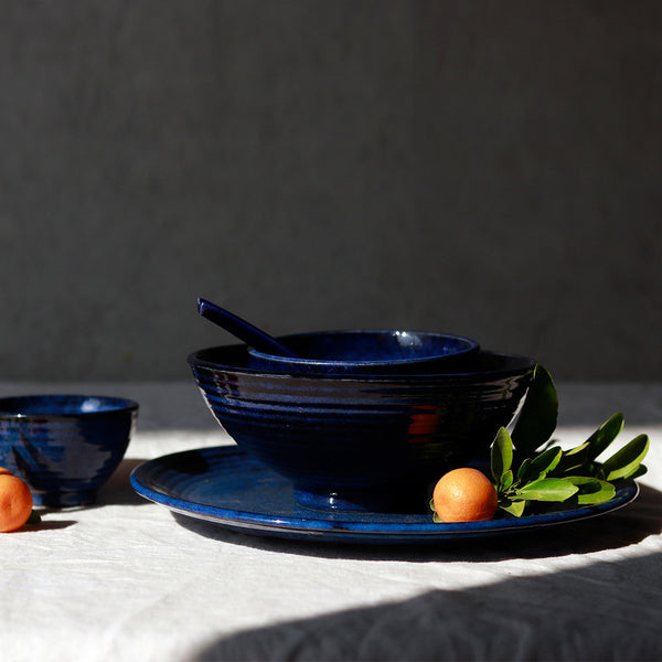 Stoneware Dinner Set | Indigo | 14 Pieces