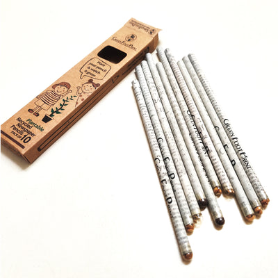 Plantable Recycled News Paper Seed Pencils - Set Of 20