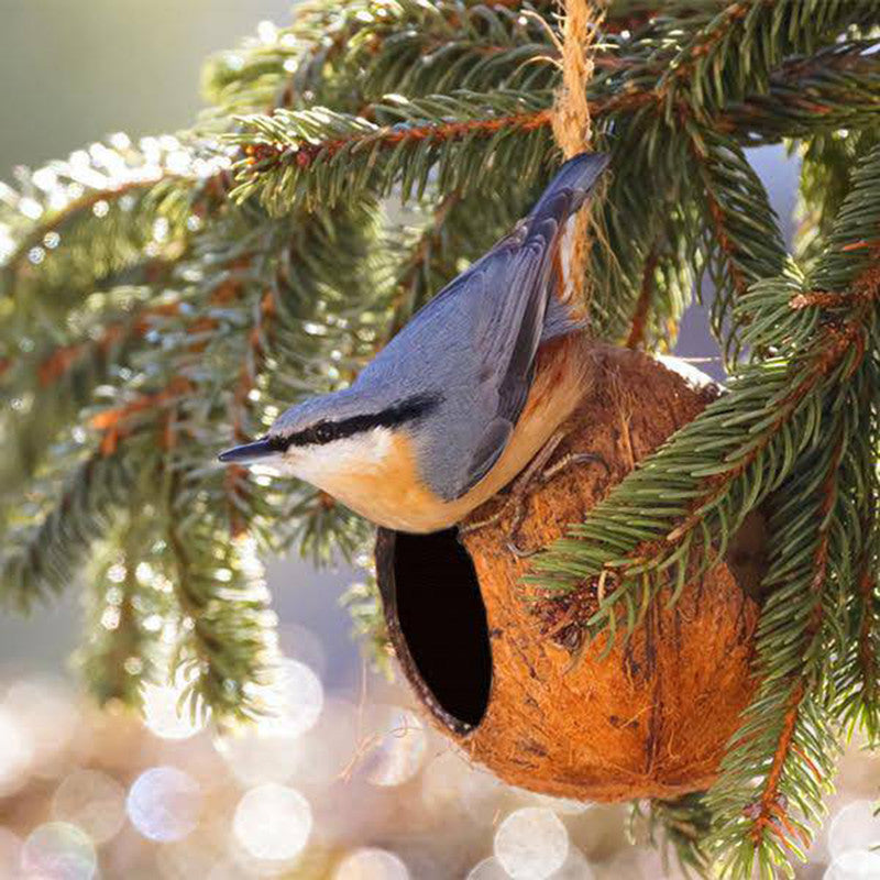 Bird Feeder | Coconut Shell Bird House With Hanging Rope | Bird Nest.