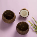 Coconut Bowl | Naturally Polished Bowl