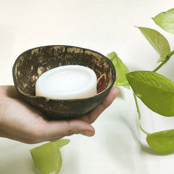 Coconut Shell Soap Dish