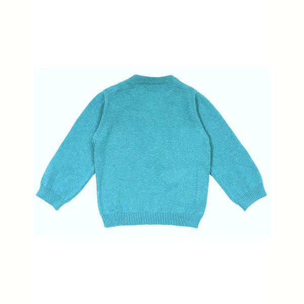 Organic Cotton Baby Sweater | Green