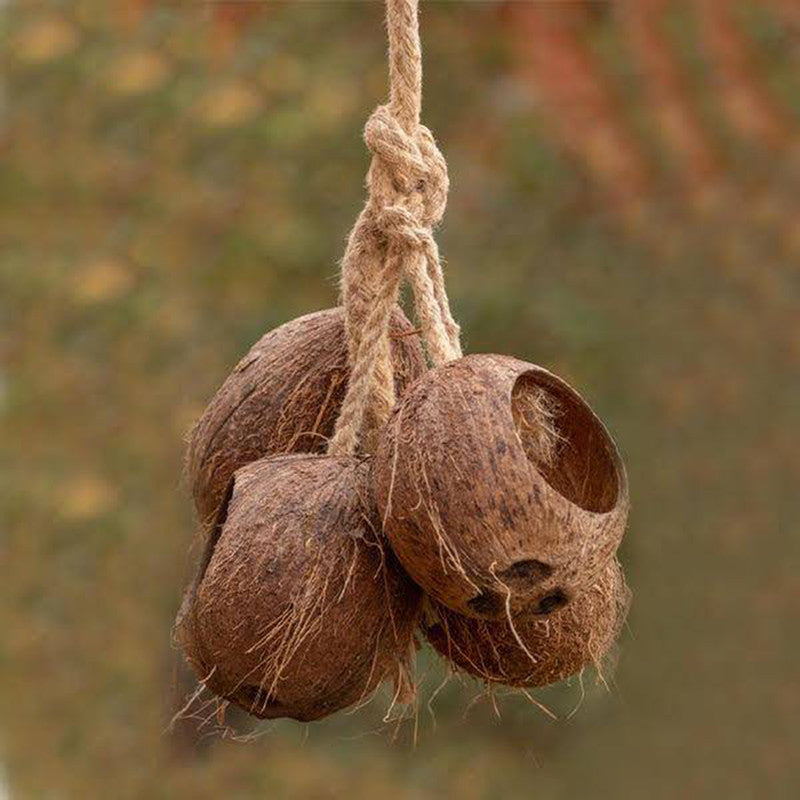 Bird Feeder | Coconut Shell Bird House With Hanging Rope | Bird Nest.