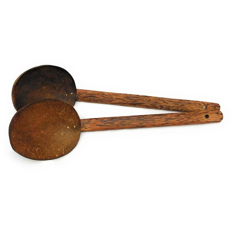 Handmade Coconut Shell Serving Spoon Set of 2