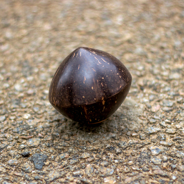 Sound Healing Essentials | Coconut Round Shaker