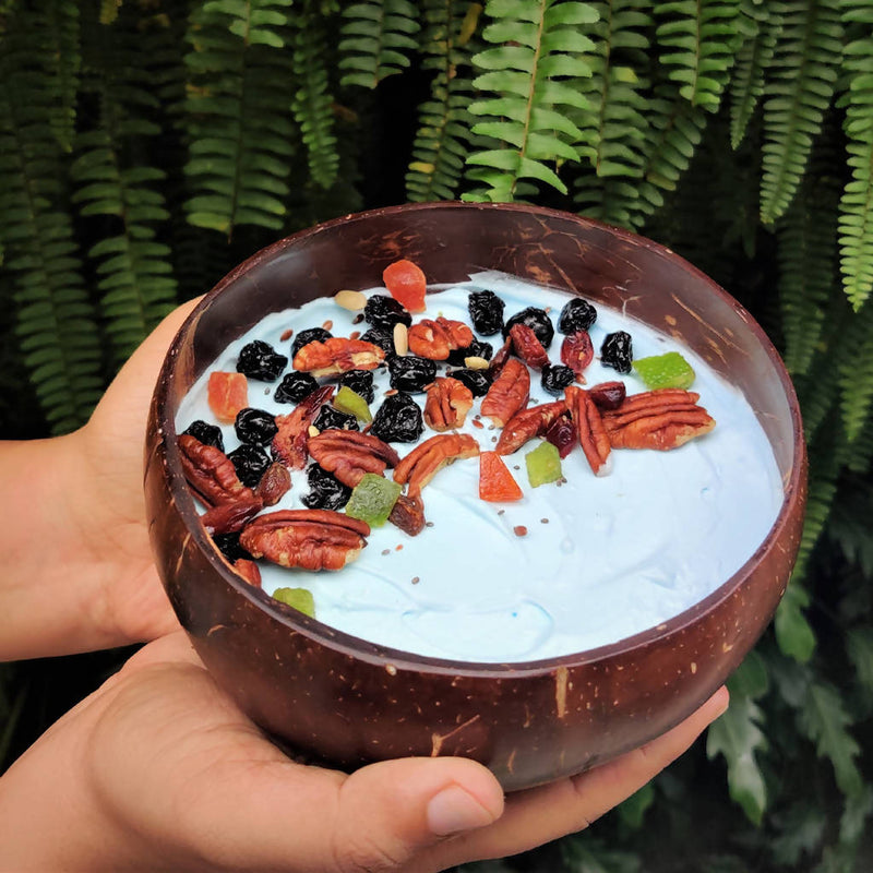 Handmade Jumbo Polished Coconut Bowl with Spoon and Fork