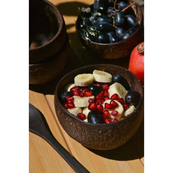 Coconut Bowl | Set of 2