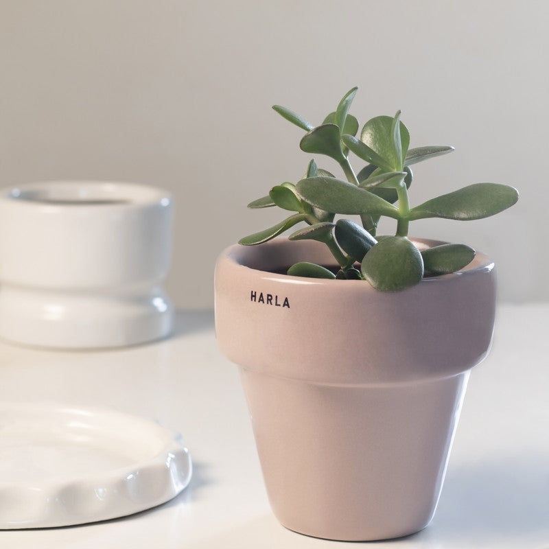 Ceramic Plant Pots | Ceramic Planters | Ceramic Pot | Pink