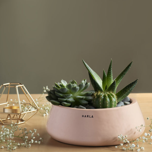 Ceramic Planters | Flat Base | 6.5 Inches | Pink