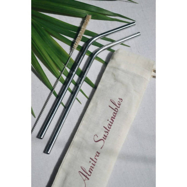 Stainless Steel Straw (Bent) | Pack of 2 with 1 Cleaner