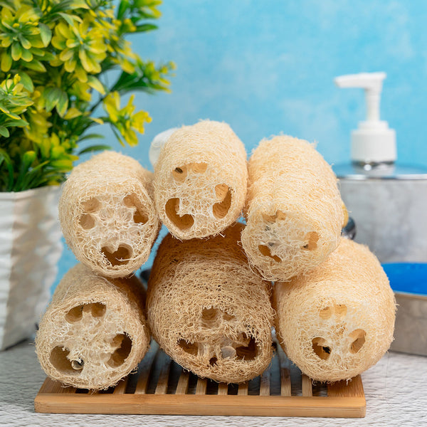 Organic Natural Loofah | Set of 6