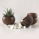 Coconut Planter | Indoor Plant Pots | Handmade